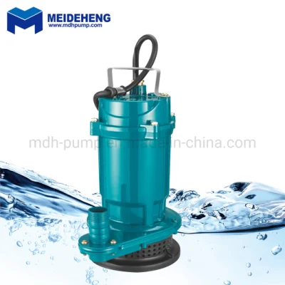 Mini Single Phase 220V AC 180W Qdx Submersible Clean Water Pump