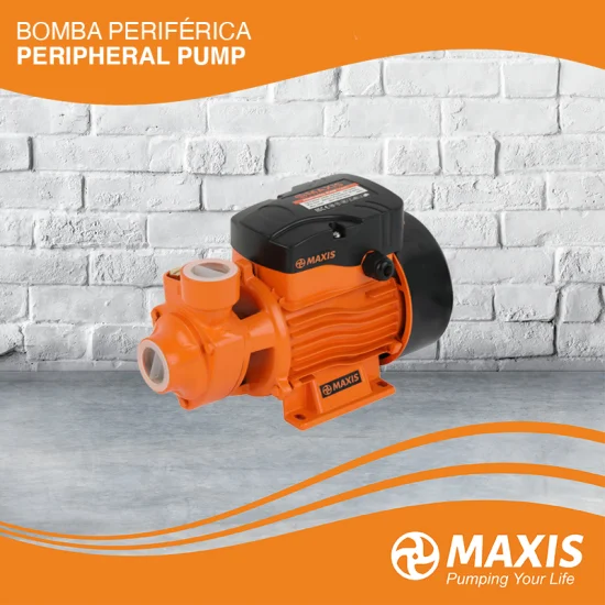Domestic 0.37kw 0.5HP AC High Pressure Qb60 70 80 Vortex Electric Centrifugal Water Pump for Home Use