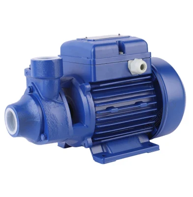 1/2HP Qb60 Brass Impeller Electric Peripheral Vortex Micro Surface Agriculture Irrigation Water Pump