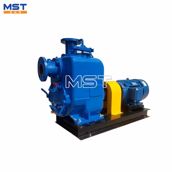 Price of Centrifugal Self Priming Vortex Water Pump 30psi