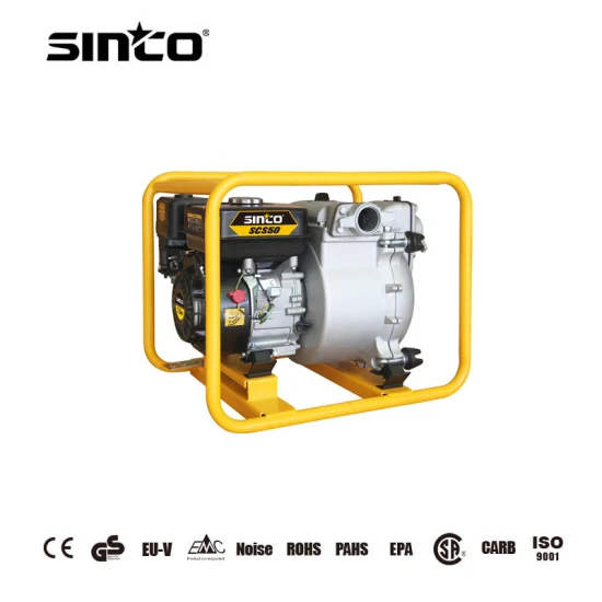 Commercial Electric Swimming Pool Pump Sea Water Pump