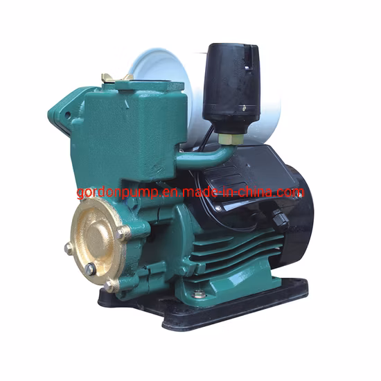 Commercial Electric Automatic Hot and Cold Water Sucker Pump
