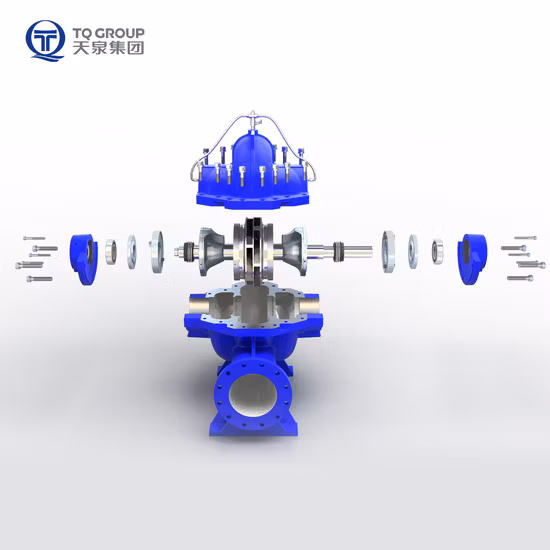 Horizontal Double Suction Split Casing Centrifugal Water Pump Tianquan DN80